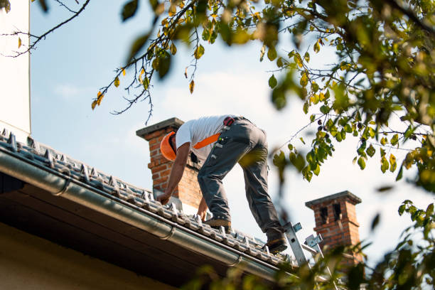 Residential Roof Replacement in Lamar, TX