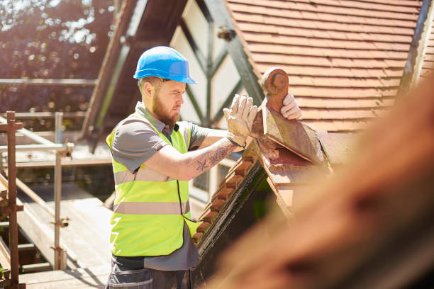 Best Flat Roof Repair Services  in Lamar, TX