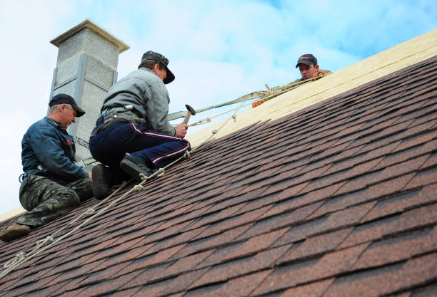 Best Roof Gutter Cleaning  in Lamar, TX