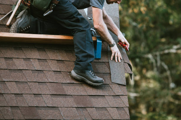 Best Shingle Roofing Installation  in Lamar, TX